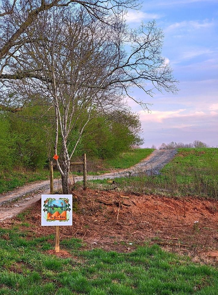 the briar patch bike park