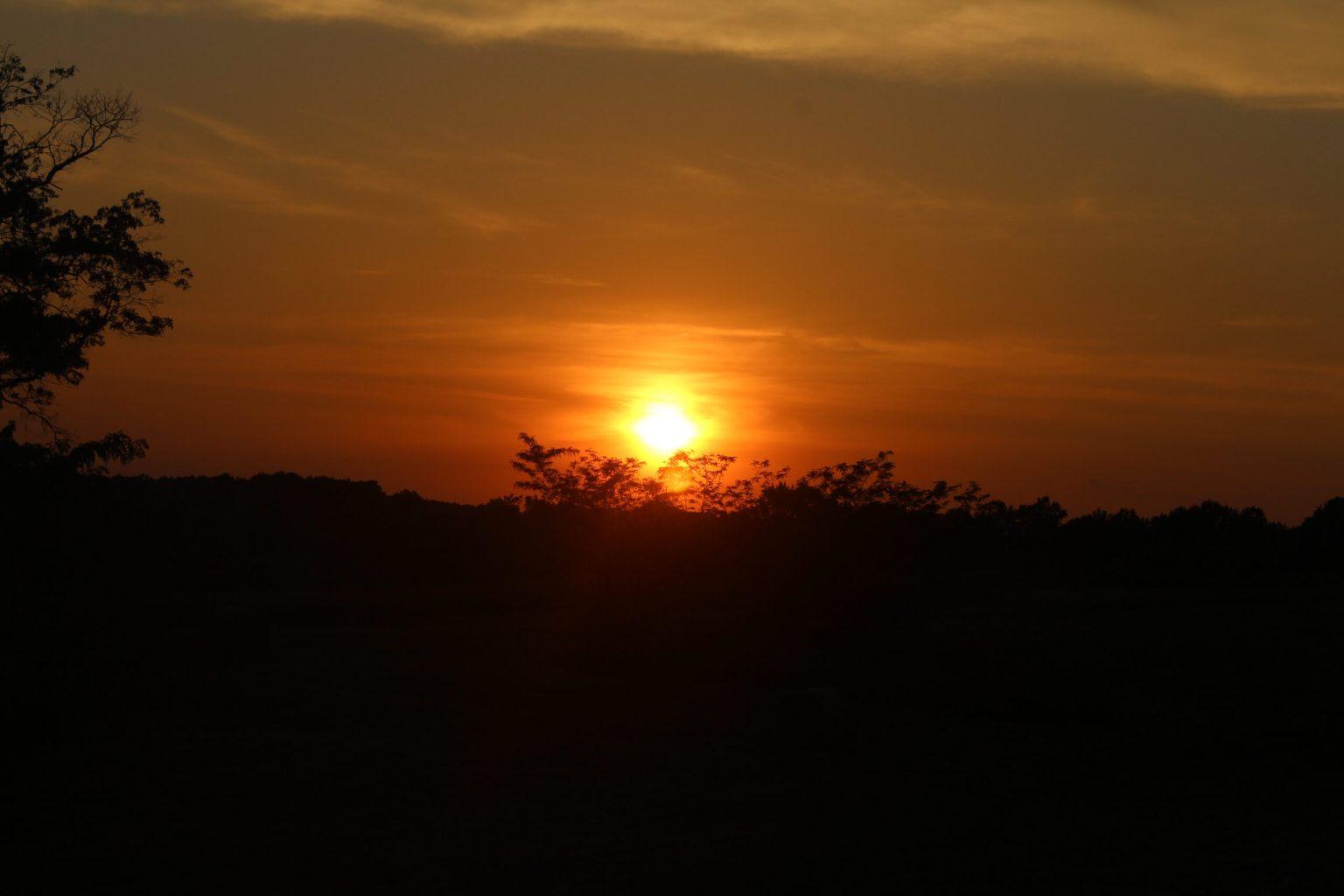 sunset at the briar patch bike park