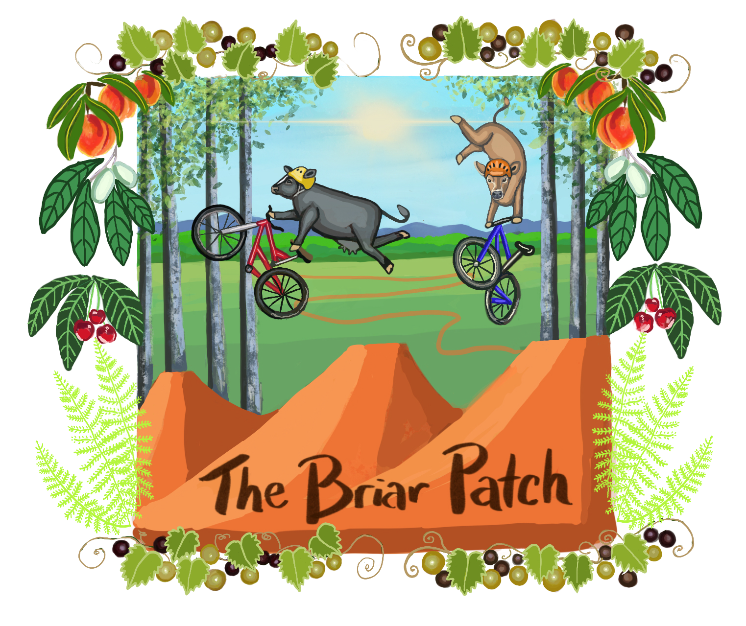 the briar patch bike park logo